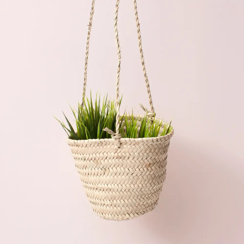 Hanging Plant Basket - Mini